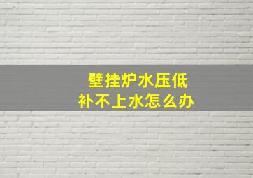 壁挂炉水压低补不上水怎么办