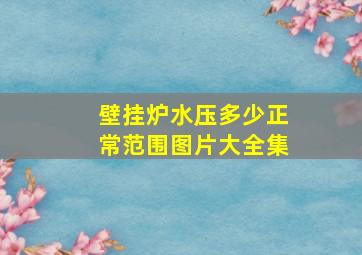 壁挂炉水压多少正常范围图片大全集