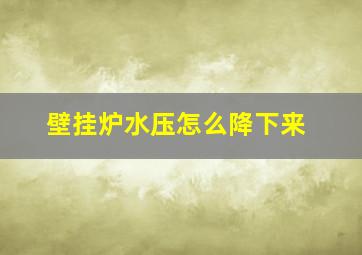 壁挂炉水压怎么降下来