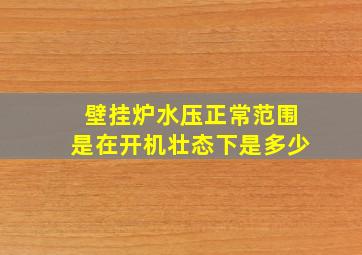 壁挂炉水压正常范围是在开机壮态下是多少