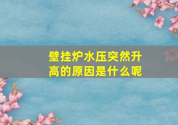 壁挂炉水压突然升高的原因是什么呢