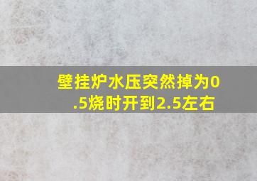 壁挂炉水压突然掉为0.5烧时开到2.5左右