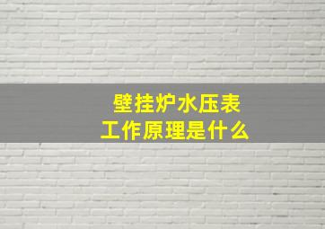 壁挂炉水压表工作原理是什么