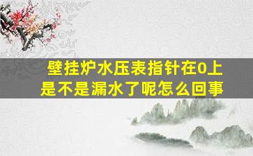 壁挂炉水压表指针在0上是不是漏水了呢怎么回事