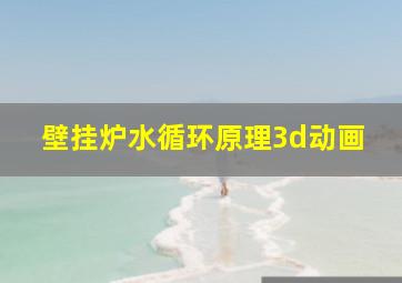 壁挂炉水循环原理3d动画