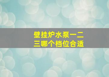 壁挂炉水泵一二三哪个档位合适