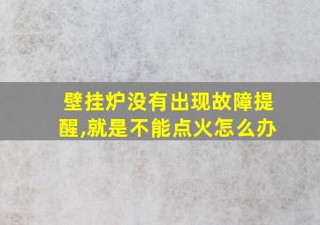 壁挂炉没有出现故障提醒,就是不能点火怎么办