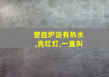 壁挂炉没有热水,亮红灯,一直叫