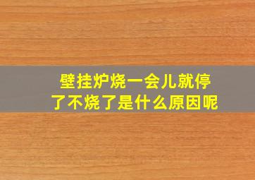 壁挂炉烧一会儿就停了不烧了是什么原因呢