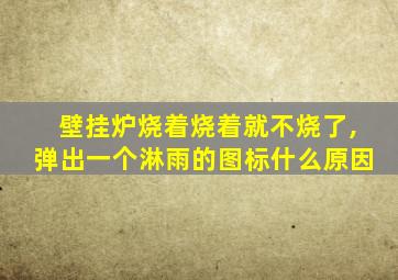 壁挂炉烧着烧着就不烧了,弹出一个淋雨的图标什么原因