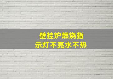 壁挂炉燃烧指示灯不亮水不热