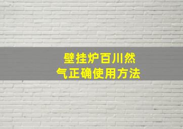 壁挂炉百川然气正确使用方法