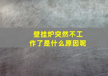 壁挂炉突然不工作了是什么原因呢