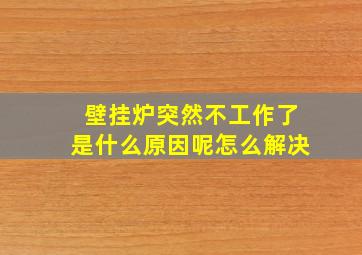 壁挂炉突然不工作了是什么原因呢怎么解决