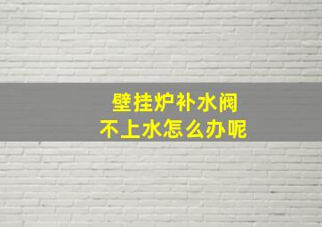 壁挂炉补水阀不上水怎么办呢