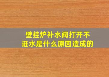 壁挂炉补水阀打开不进水是什么原因造成的