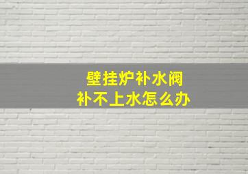 壁挂炉补水阀补不上水怎么办