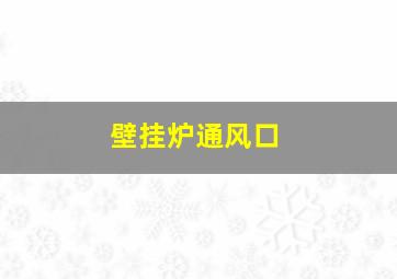 壁挂炉通风口