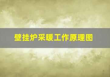 壁挂炉采暖工作原理图