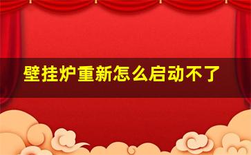 壁挂炉重新怎么启动不了