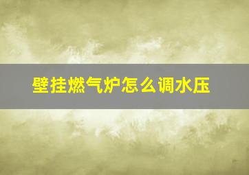 壁挂燃气炉怎么调水压