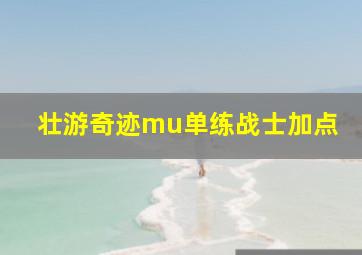 壮游奇迹mu单练战士加点