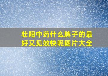 壮阳中药什么牌子的最好又见效快呢图片大全