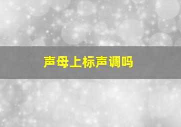 声母上标声调吗