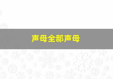 声母全部声母