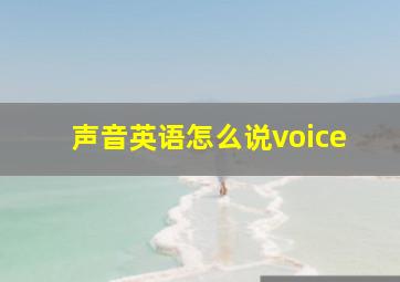 声音英语怎么说voice