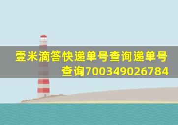 壹米滴答快递单号查询递单号查询700349026784