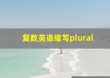 复数英语缩写plural