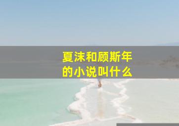 夏沫和顾斯年的小说叫什么