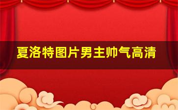 夏洛特图片男主帅气高清