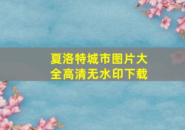 夏洛特城市图片大全高清无水印下载