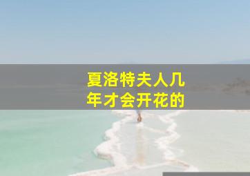 夏洛特夫人几年才会开花的