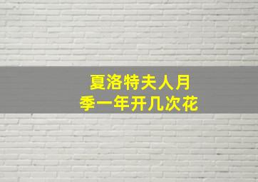 夏洛特夫人月季一年开几次花