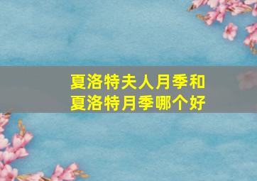 夏洛特夫人月季和夏洛特月季哪个好