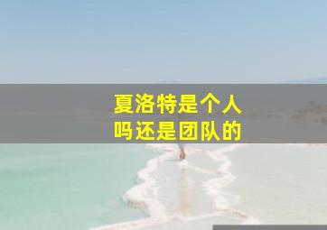 夏洛特是个人吗还是团队的