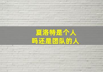 夏洛特是个人吗还是团队的人