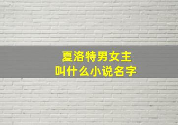 夏洛特男女主叫什么小说名字