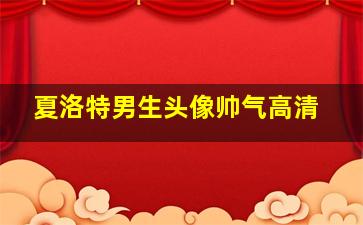 夏洛特男生头像帅气高清