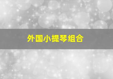 外国小提琴组合