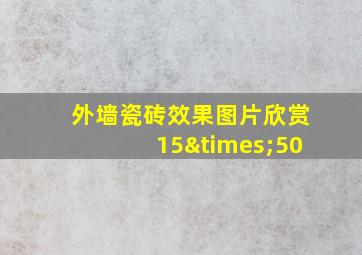 外墙瓷砖效果图片欣赏15×50