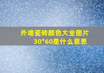 外墙瓷砖颜色大全图片30*60是什么意思