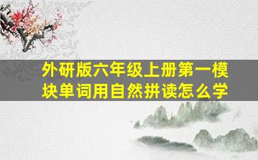 外研版六年级上册第一模块单词用自然拼读怎么学