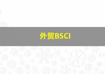 外贸BSCI