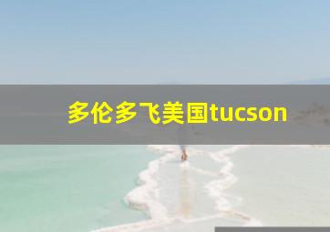 多伦多飞美国tucson