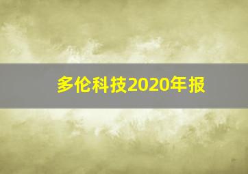 多伦科技2020年报