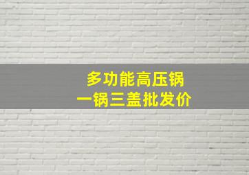 多功能高压锅一锅三盖批发价